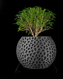 Cell Web Planter