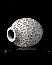 Coral Pore Vase - 3D printed vase by Valence Objects