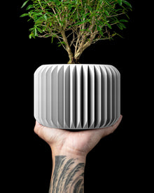 Rib Drum Planter
