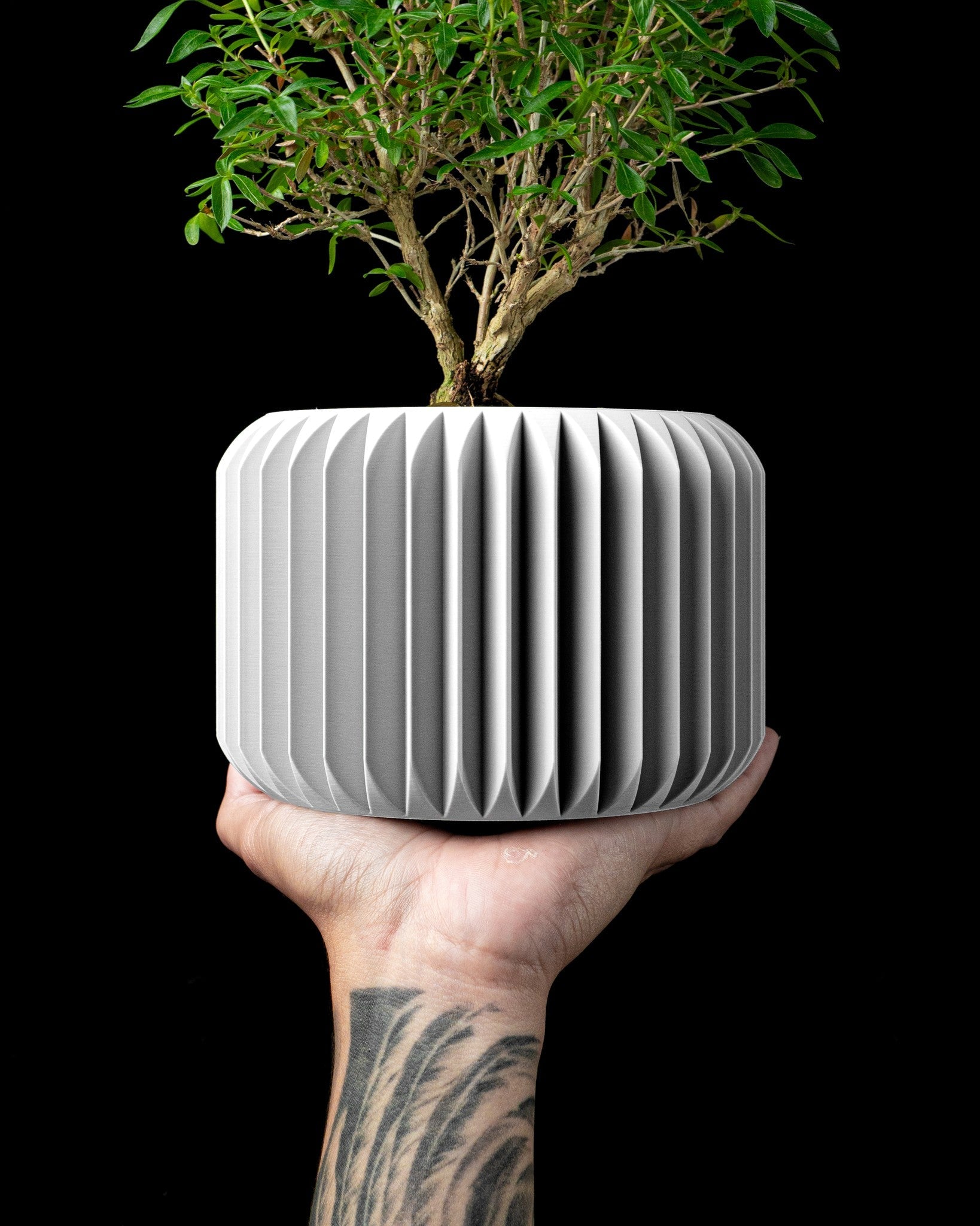 Rib Drum Planter - 3D printed planter by Valence Objects