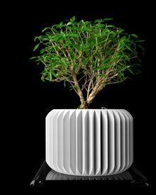 Rib Drum Planter