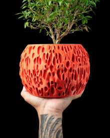Sponge Pore Planter