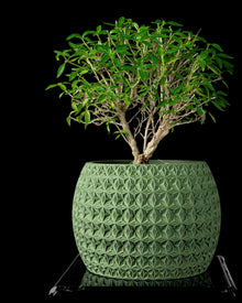 Pyramid Stud Planter