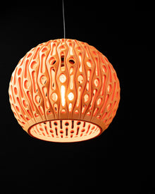 Oval Mesh Pendant Light