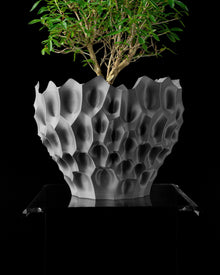 Hollow Reef Planter