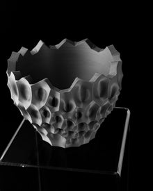 Hollow Reef Planter