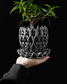 Arcade Lattice Planter