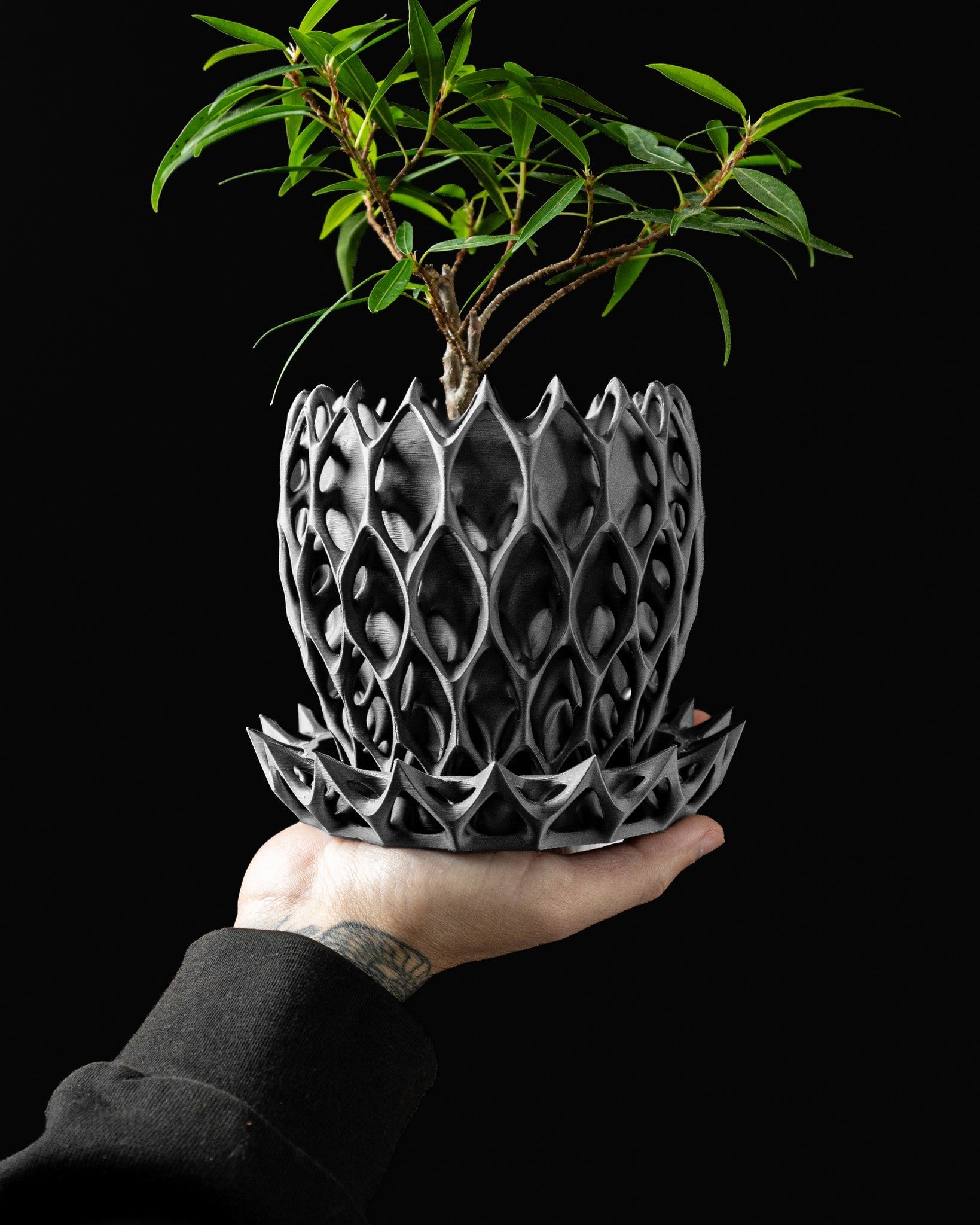 Arcade Lattice Planter - 3D printed planter by Valence Objects