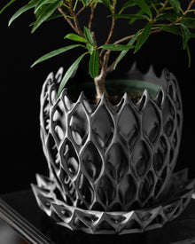 Arcade Lattice Planter