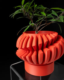 Spiral Fin Planter