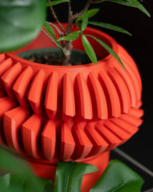 Spiral Fin Planter
