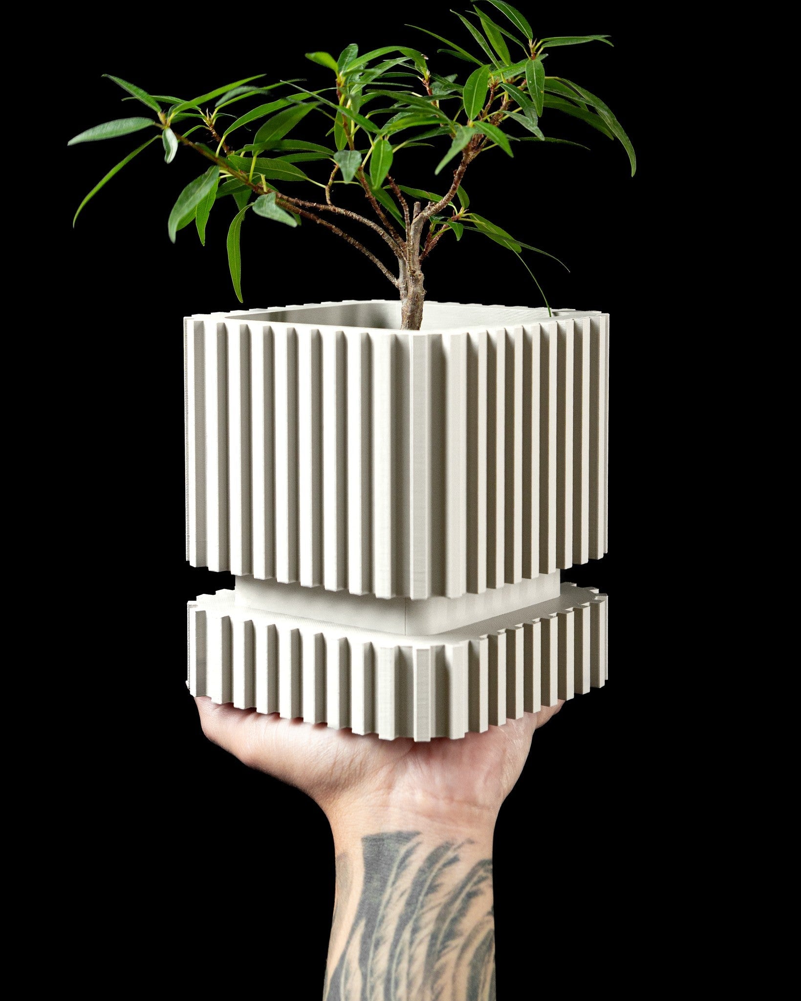 Stripe Fin Planter - 3D printed planter by Valence Objects