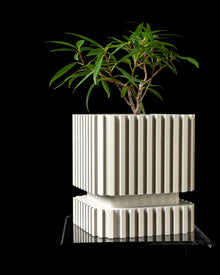 Stripe Fin Planter