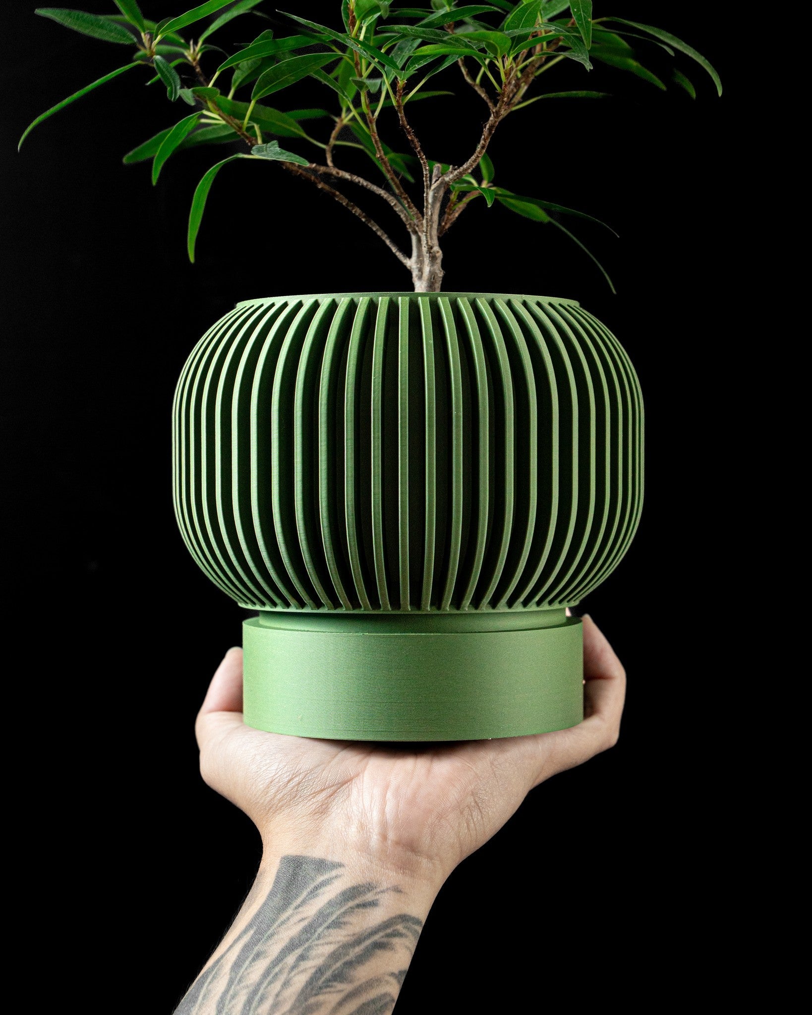Rib Bowl Planter - 3D printed planter by Valence Objects