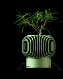 Rib Bowl Planter