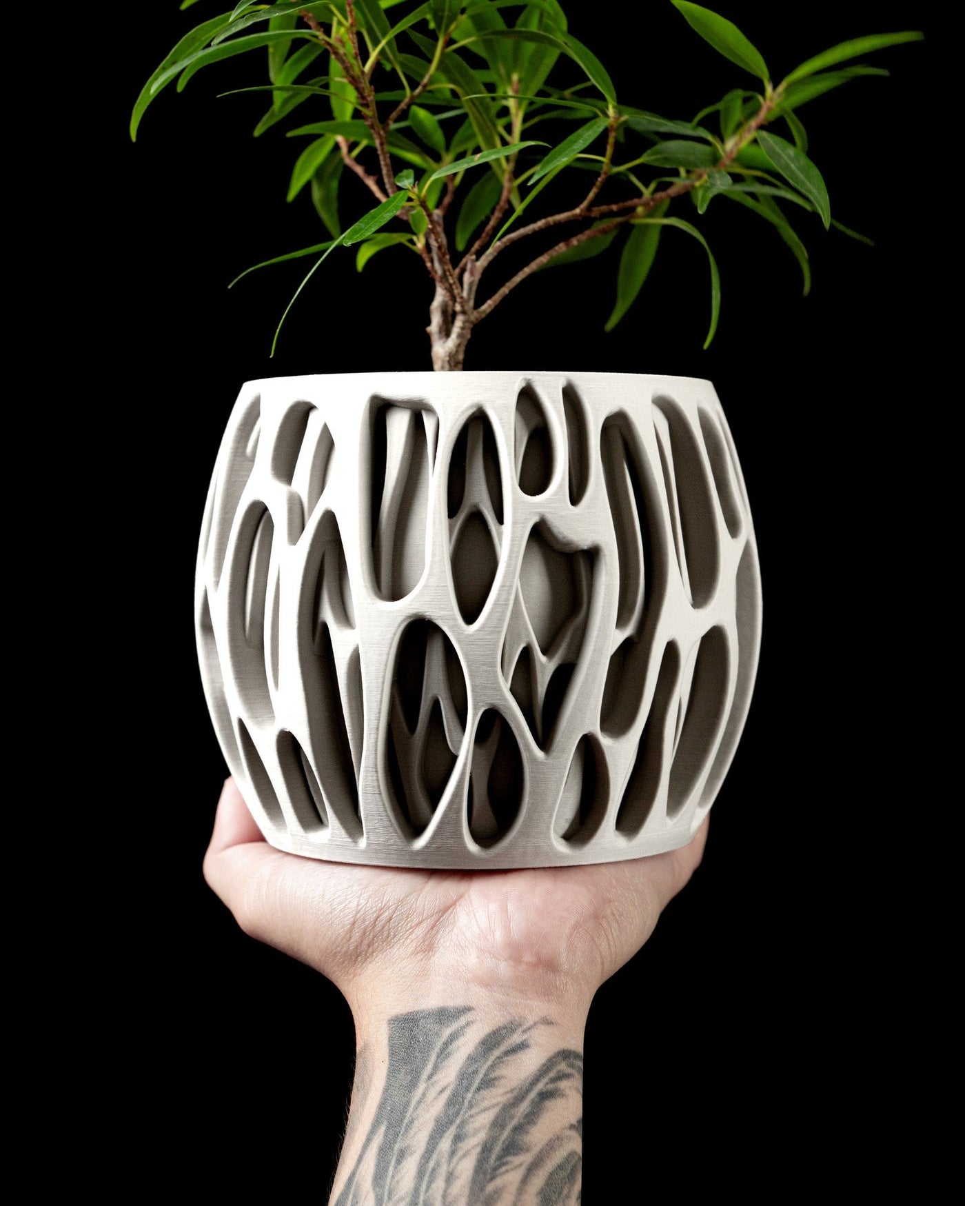 Drip Lattice Planter