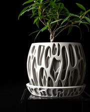 Drip Lattice Planter - 3D printed planter by Valence Objects
