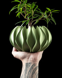 Chasm Petal Planter