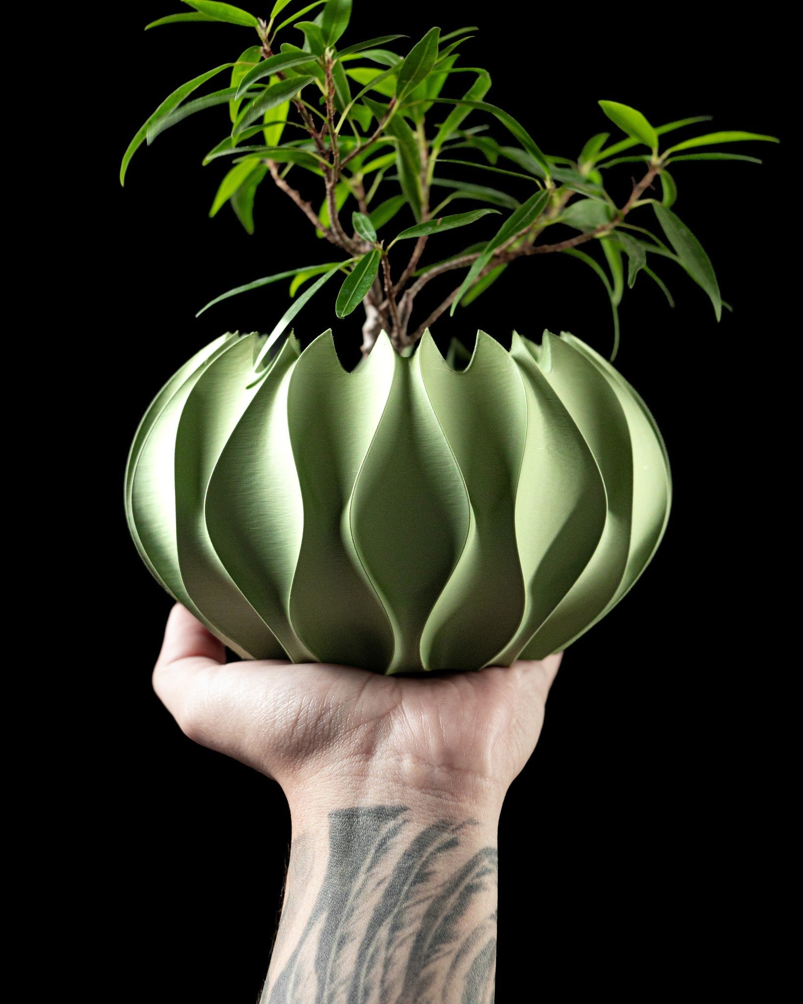 Chasm Petal Planter - 3D printed planter by Valence Objects