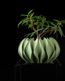 Chasm Petal Planter
