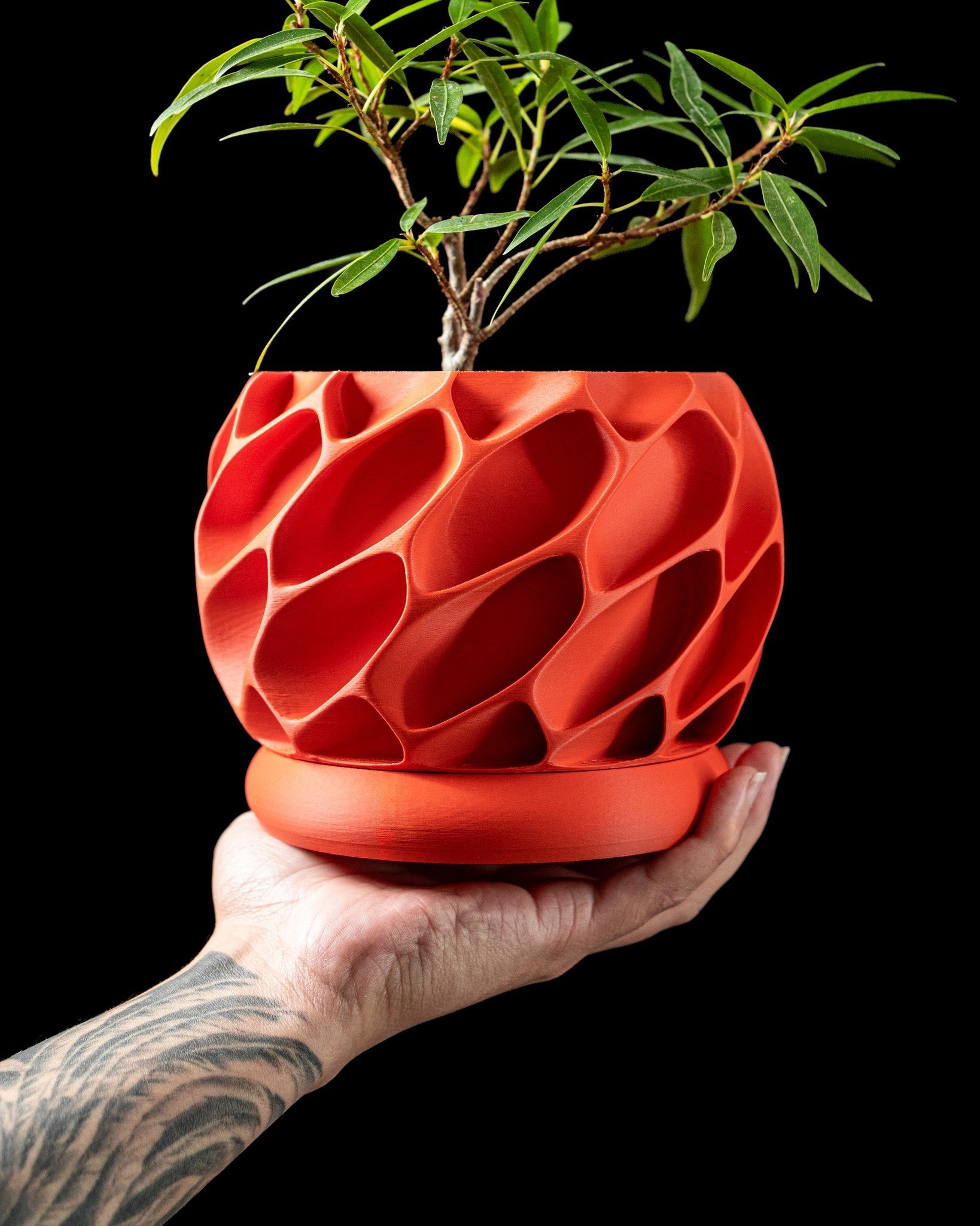 Voronoi Shell Planter - 3D printed planter by Valence Objects