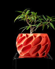 Voronoi Shell Planter - 3D printed planter by Valence Objects