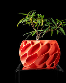 Voronoi Shell Planter