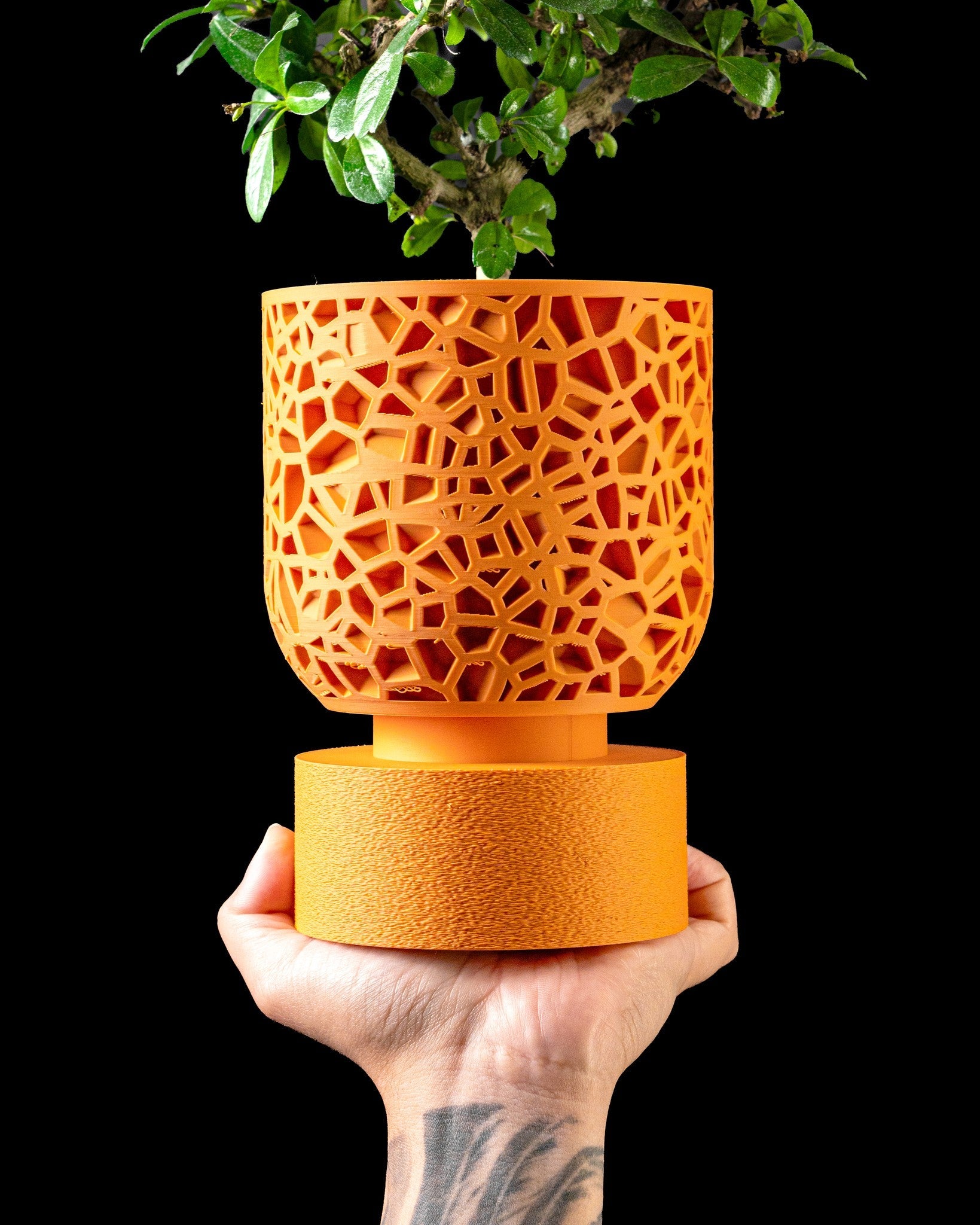 Voronoi Cage Planter - 3D printed planter by Valence Objects