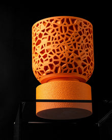 Voronoi Cage Planter