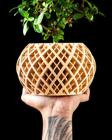 Lattice Globe Planter