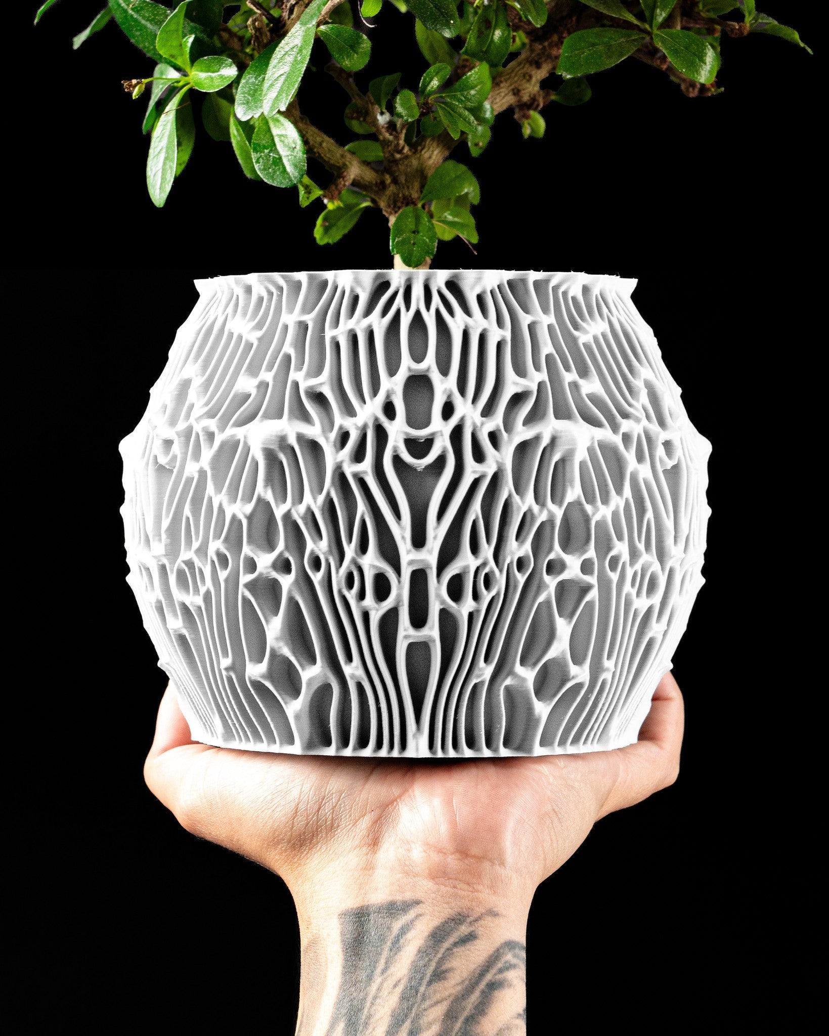 Coral Web Planter - 3D printed planter by Valence Objects