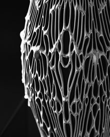 Filigree Web Vase