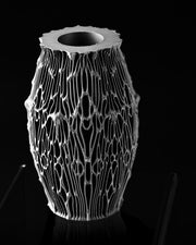 Filigree Web Vase - 3D printed vase by Valence Objects