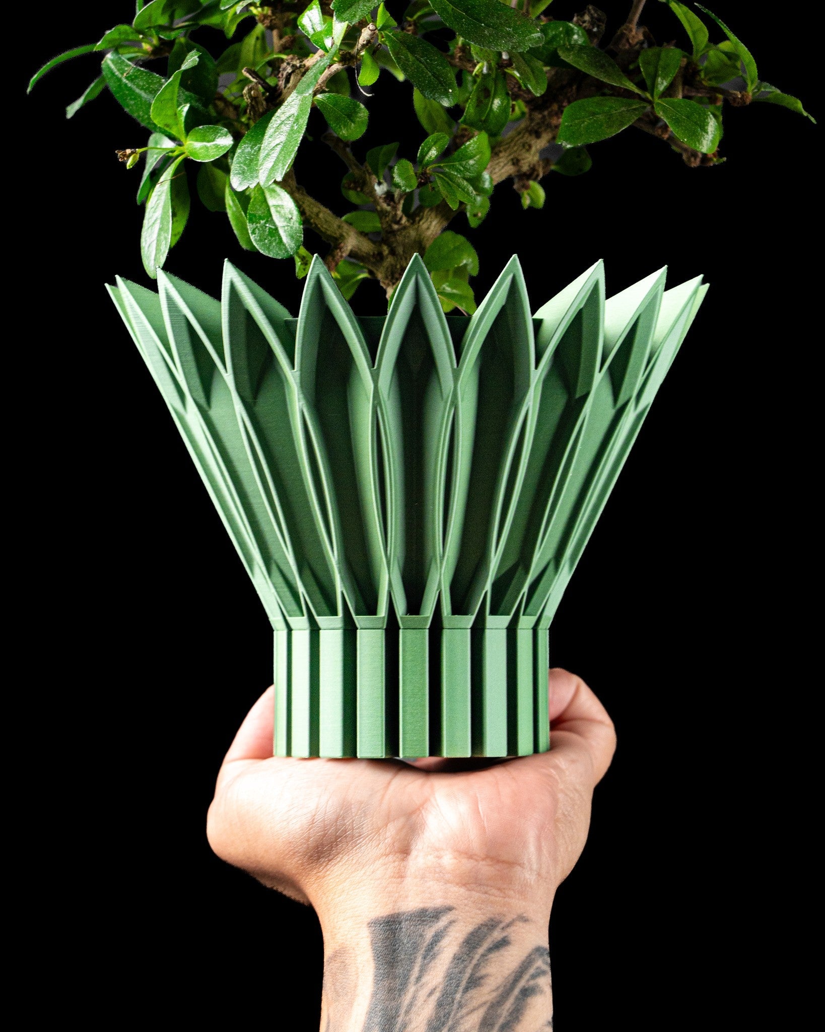 Blade Crown Planter - 3D printed planter by Valence Objects