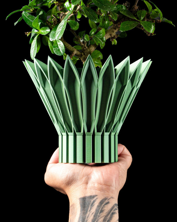 Blade Crown Planter