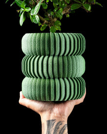 Ring Tier Planter