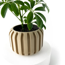 Fin Drum Planter