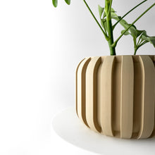 Fin Drum Planter