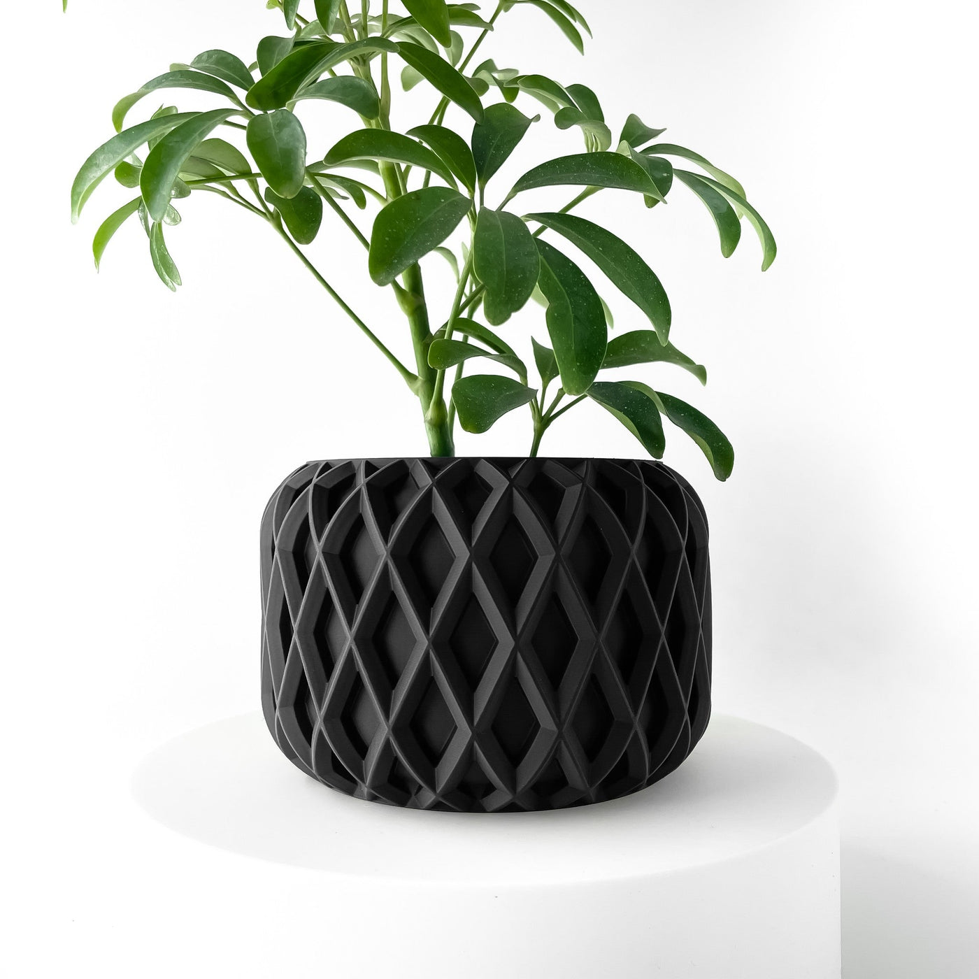 Quilt Drum Orchid Planter