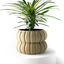 Bubble Basin Planter