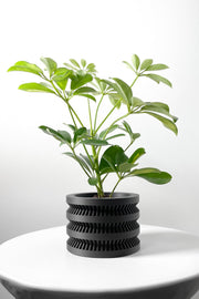 Stacked Rib Planter - 3D printed planter by Valence Objects