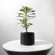Micro Rib Planter - 3D printed planter by Valence Objects