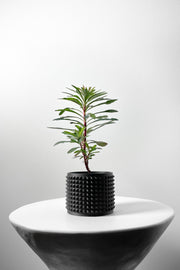 Micro Rib Planter - 3D printed planter by Valence Objects