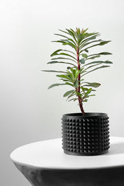 Micro Rib Planter - 3D printed planter by Valence Objects