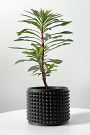 Micro Rib Planter - 3D printed planter by Valence Objects