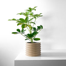 Corrugated Column Planter