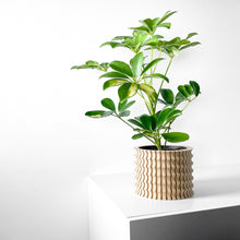 Corrugated Column Planter