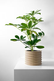 Corrugated Column Planter - 3D printed planter by Valence Objects