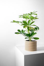 Corrugated Column Planter - 3D printed planter by Valence Objects