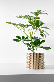 Corrugated Column Planter - 3D printed planter by Valence Objects